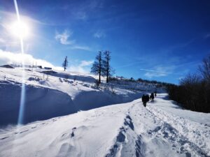 - Düzce'de 30 doğasever ve sporcu, Sarıkamış şehitlerini anmak için