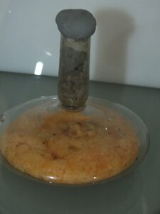 SİVAS (AA) – Sivas Cumhuriyet Üniversitesinde yapılan araştırmada, milattan sonra