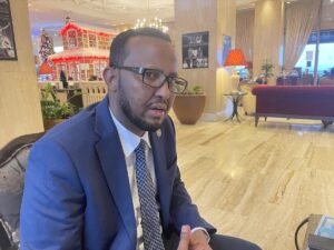 İSTANBUL (AA) – Somali Tarım ve Sulama Bakanı Said Husen