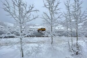 - Kentte etkili olan kar yağışının ardından beyaza bürünen Pülümür'ün
