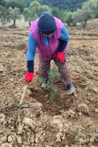 ÇANAKKALE (AA) – BURAK AKAY – Türkiye'nin en büyük adası