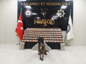 VAN (AA) – Van'ın İpekyolu ilçesinde bir ev ve araçta