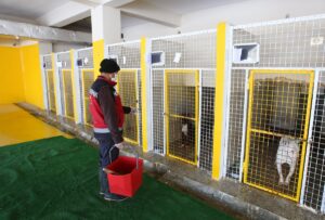 VAN (AA) – YILMAZ KAZANDIOĞLU – Van'da, "tehlikeli ırklar" olarak