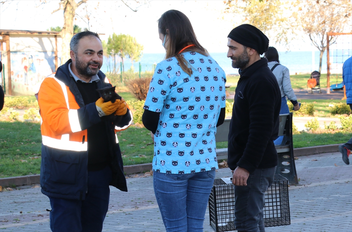 Yalova'da temizlik görevlisi fırtınada mahsur kalan yavru kediye sahip çıktı