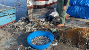 ZONGULDAK (AA) – Zonguldak'ta bu yıl av sezonunda umduklarını bulamayan