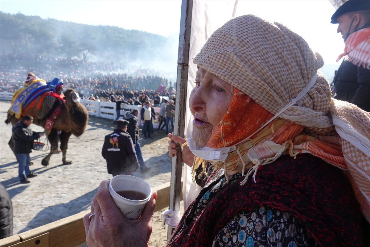 “40. Selçuk Efes Deve Güreşi Festivali”, 162 devenin katılımıyla yapıldı
