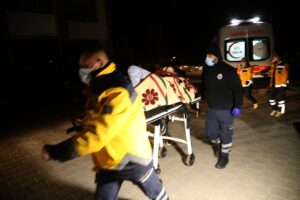 - Yangında bir kedinin yaralandığı, köpeğin ise telef olduğu belirlendi