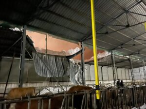 ADIYAMAN (AA) – Adıyaman'ın Kahta ilçesinde aşırı kar birikmesi sonucu