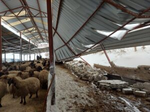 ŞANLIURFA/ADIYAMAN (AA) – Şanlıurfa ve Adıyaman'da dünden bu yana etkili