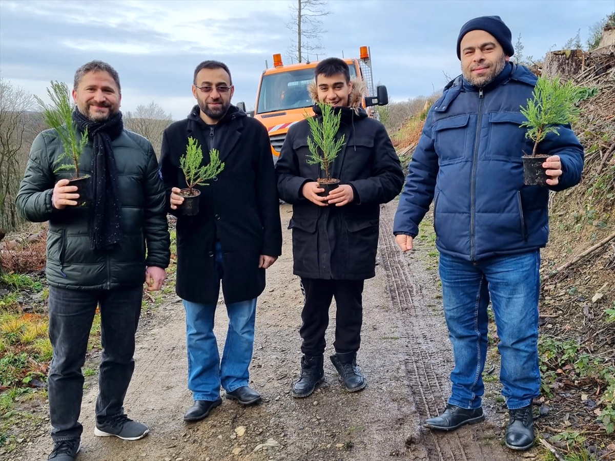 Almanya'da Türklerin de yer aldığı gönüllüler, Mamut ağacı fidanlarını toprakla buluşturdu