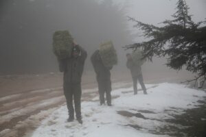 HATAY (AA) – Doğa Koruma ve Milli Parklar (DKMP) Hatay