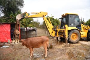 ANTALYA (AA) – Antalya'nın Konyaaltı Belediyesi ekipleri, rahatsızlanarak yürüyemez hale