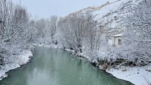 GİRESUN (AA) – Giresun, Artvin, Rize ve Gümüşhane'de etkili olan