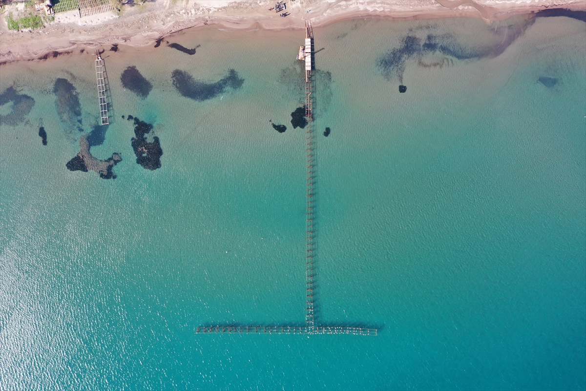 Bodrum'da denizciler elli yıldır kullanılan iskelenin yıkılmasını istemiyor