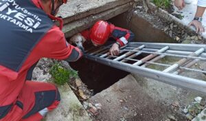 MUĞLA (AA) – Muğla'nın Bodrum ilçesinde, su kuyusuna düşen köpeği