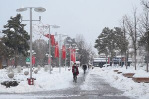 BOLU (AA) – Bolu kent merkezinde 4 günlük aranın ardından