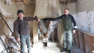 BOLU (AA) – Bolu'nun Göynük ilçesinde yaralı olarak bulunan kaya