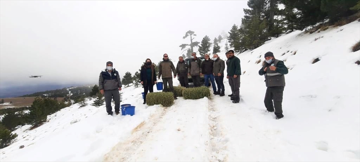 Burdur'da yaban hayvanları için karla kaplı dağlara yem bırakıldı