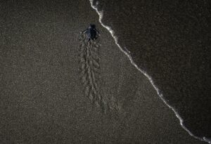 ANKARA (AA) – YASEMİN KALYONCUOĞLU – ÖZGE ELİF KIZIL –