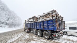 KÜTAHYA (AA) – Kütahya'nın Domaniç ve Bursa'nın İnegöl ilçeleri arasındaki