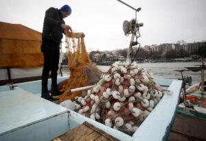 DÜZCE (AA) – Batı Karadeniz'in önemli limanlarından Düzce'nin Akçakoca ilçesinde
