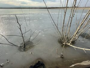 ELAZIĞ (AA) – Elazığ'da etkili olan soğuk hava nedeniyle Cip