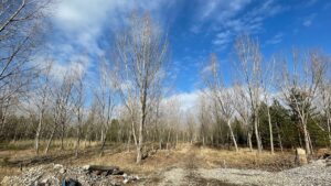 - Yılbaşı gecesi cinayet işlenen ormanlık alandan bisikletle uzaklaşan iki