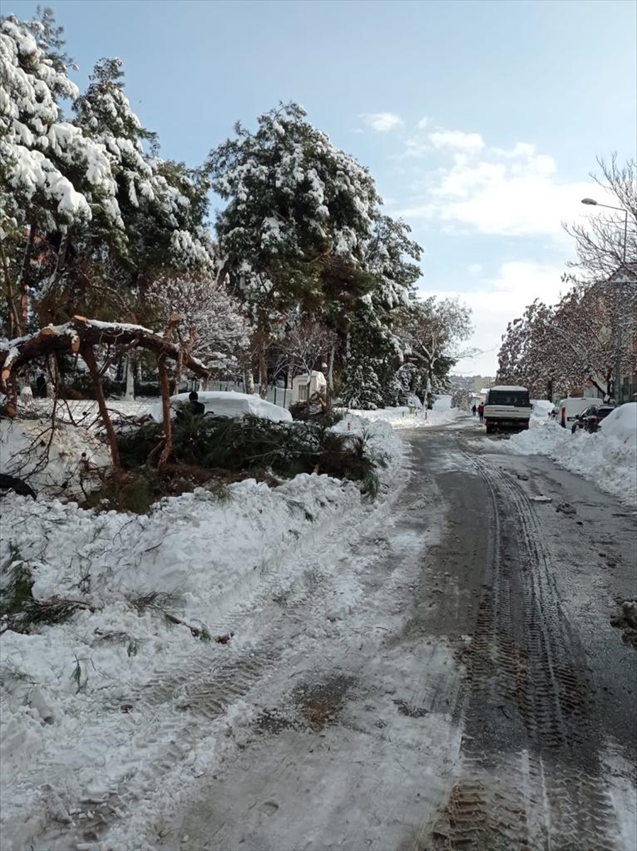 Gaziantep'te kar ve don hayatı olumsuz etkiledi