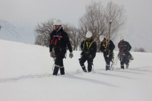 HAKKARİ (AA) – Vangölü Elektrik Dağıtım Anonim Şirketi (VEDAŞ) ekipleri,