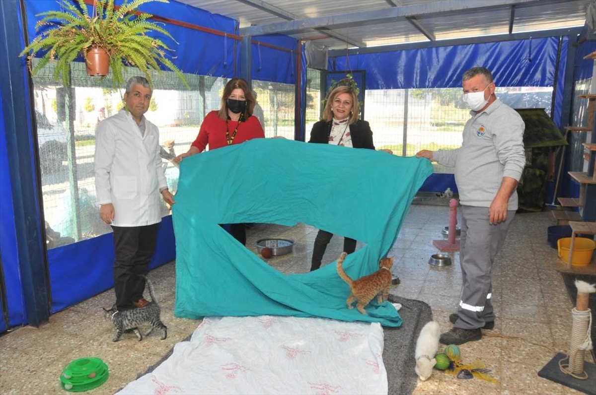 Hastanenin eski tekstil ürünleri barınakta yatak oluyor