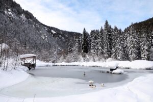 RİZE (AA) – Kaçkar Dağları Milli Parkı içerisindeki köy ve