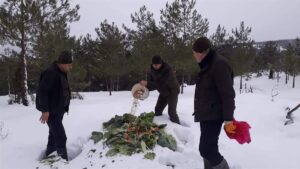 KARABÜK (AA) – Karabük'te olumsuz hava koşulları nedeniyle yiyecek bulmakta