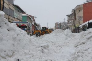 BİNGÖL (AA) – Bingöl'de, kar yağışının etkili olduğu Karlıova ilçesinde