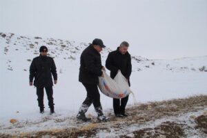KAYSERİ (AA) – Bünyan'da yaban hayvanları için karla kaplı alanlara