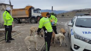 - Kilis'te polisler kendi aralarında topladıkları parayla sokakta yaşayan hayvanlara