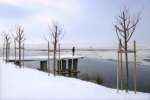 KONYA (AA) – MELİKE KESKİN – Son yıllarda kuraklık tehlikesiyle