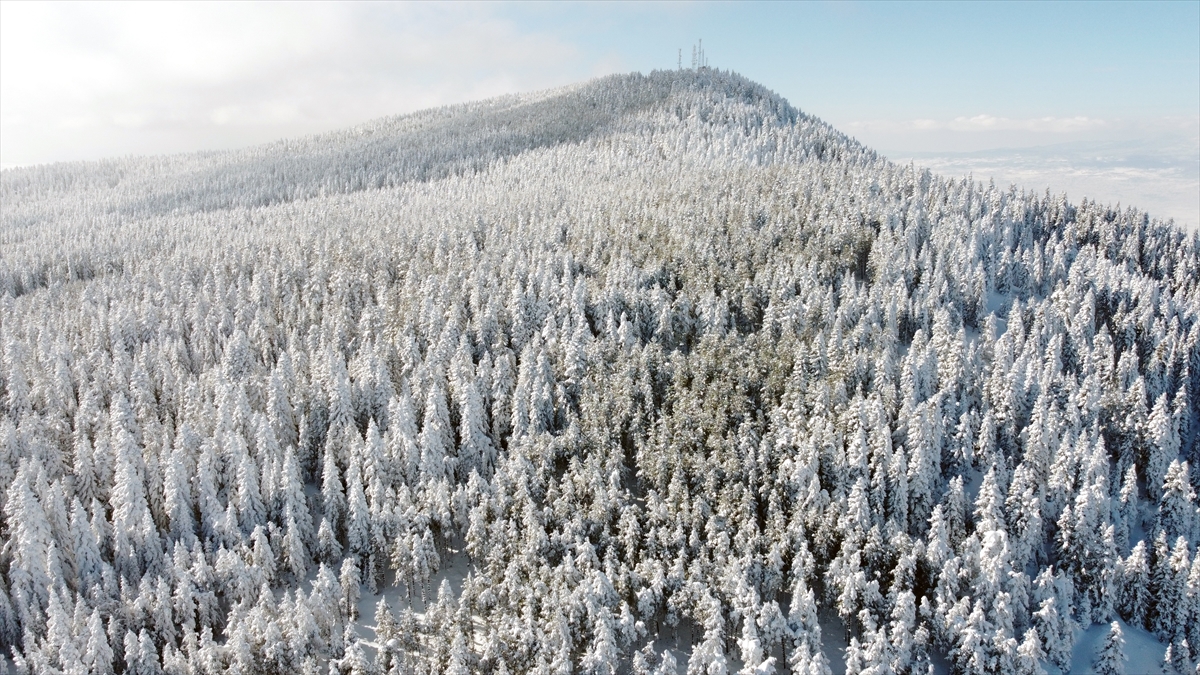 Köroğlu Dağları'nın karla kaplı yayla ve ormanları havadan görüntülendi