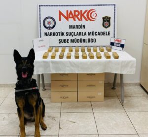 MARDİN (AA) – Mardin'de bir aracın yedek lastiğine gizlenmiş 10