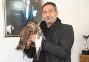 MERSİN (AA) – Mersin'in Erdemli ilçesinde yaralı bulunan kızıl şahin