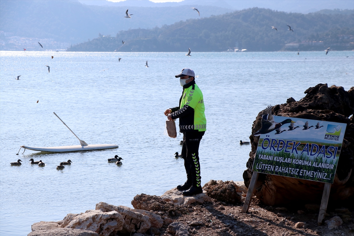 Muğla'da sokak hayvanları ve kuşlar için yemleme çalışması yapıldı