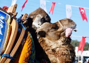 MUĞLA (AA) – Muğla'nın Yatağan ilçesinde bu yıl 21'incisi düzenlenen