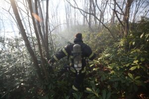 ORDU (AA) – Ordu'nun Ulubey ilçesinde çıkan orman yangını, yöre