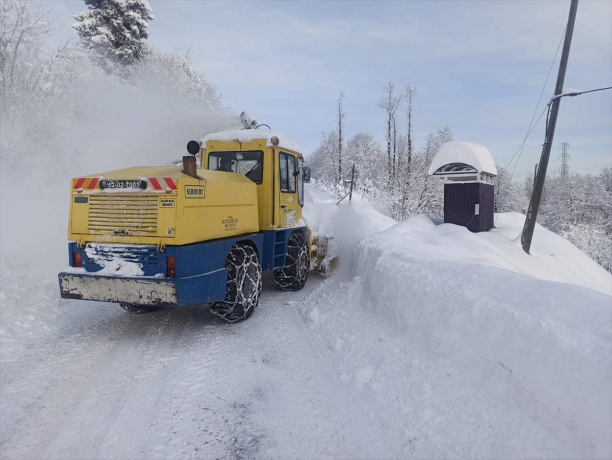 Ordu'da bir kişinin karda boy verdiği fotoğraf sosyal medyada çokça paylaşıldı