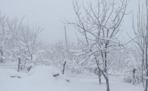 SAKARYA/KOCAELİ (AA) – Sakarya ve Kocaeli'nin yüksek kesimlerinde kar etkisini