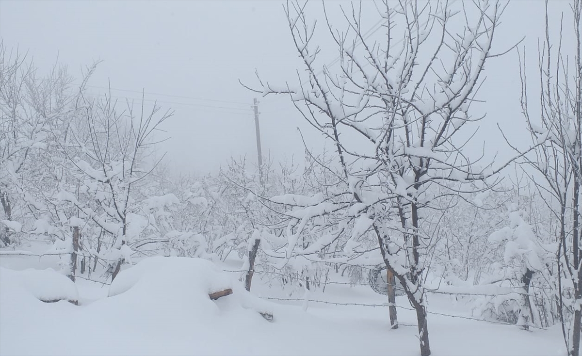 Sakarya ve Kocaeli'nin yüksek kesimlerinde kar etkili oluyor