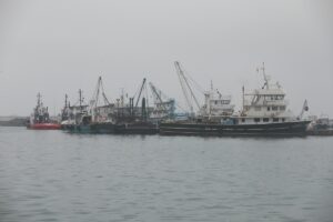 SAMSUN (AA) – Samsun'da etkili olan sis ve sağanak yağış