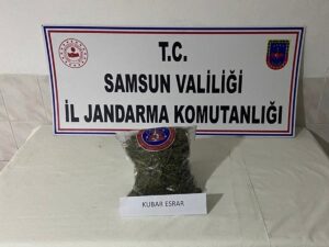 SAMSUN (AA) – Samsun'da jandarmanın düzenlediği uyuşturucu operasyonlarında 25 şüpheli