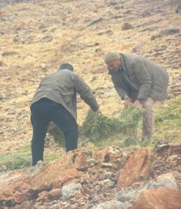 KAHRAMANMARAŞ (AA) – Kahramanmaraş ve Şanlıurfa'da jandarma ekipleri, olumsuz hava