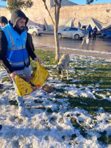GAZİANTEP (AA) – Gaziantep, Şanlıurfa ve Kahramanmaraş'ta, kar ve soğuk