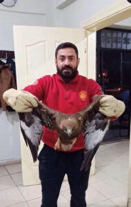 ŞANLIURFA (AA) – Şanlıurfa'nın Viranşehir ilçesinde yaralı bulunan kartal tedavi